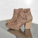 Botines Print Animal Print Marca Ccocci 8 cms.