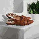 1000367981.webp