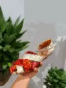 1000453838.webp