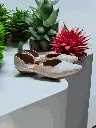 1000452880.webp